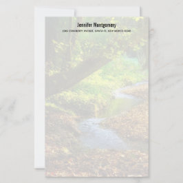 Skogsfoto för Bäck vackra naturområde