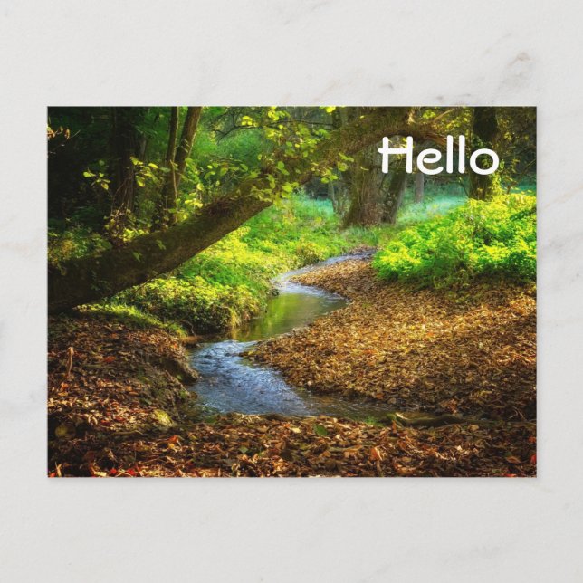 Skogsfoto för Bäck vackra naturområde Vykort (Framsida)