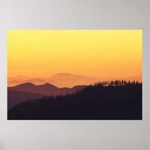 SKOGSFOTO I LANDSCAPE UNDER GOLDEN TIMME POSTER
