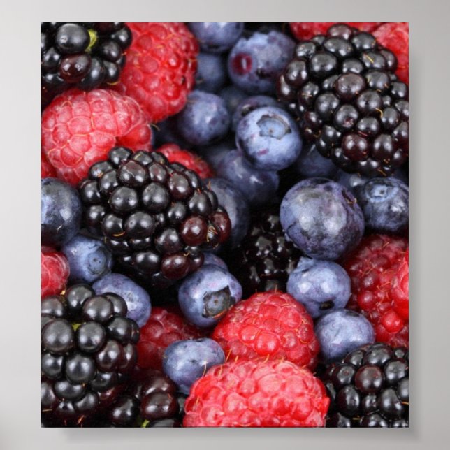 Skogsfruktbakgrund Poster (Framsidan)