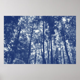 Skogskanopi - Cyanotypeffekt Poster