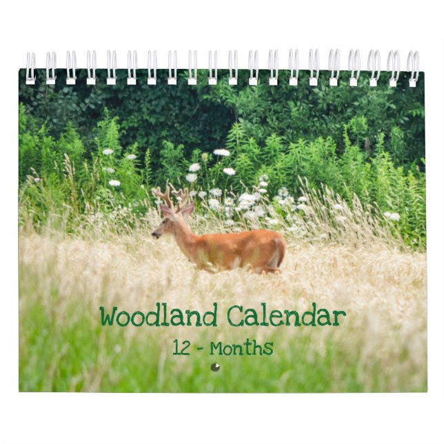 Skogskapitel Natur Liten kalender (Omslag)