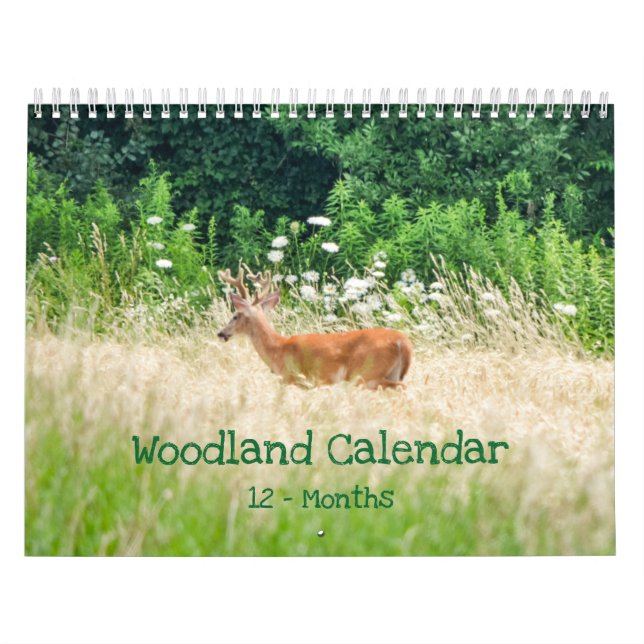 Skogskapstyper Kalender (Omslag)