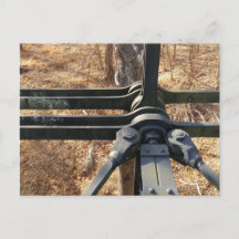 skogskort för vinter