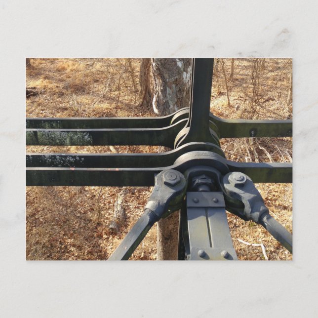 skogskort för vinter vykort (Framsida)