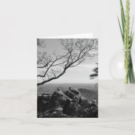 Skogslandfoto på standardvykort kort