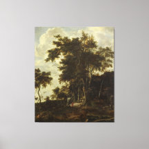 Skogslandskap med en skogsskugga.