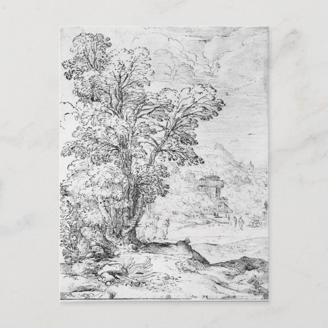 Skogslandskap Vykort (Framsida)