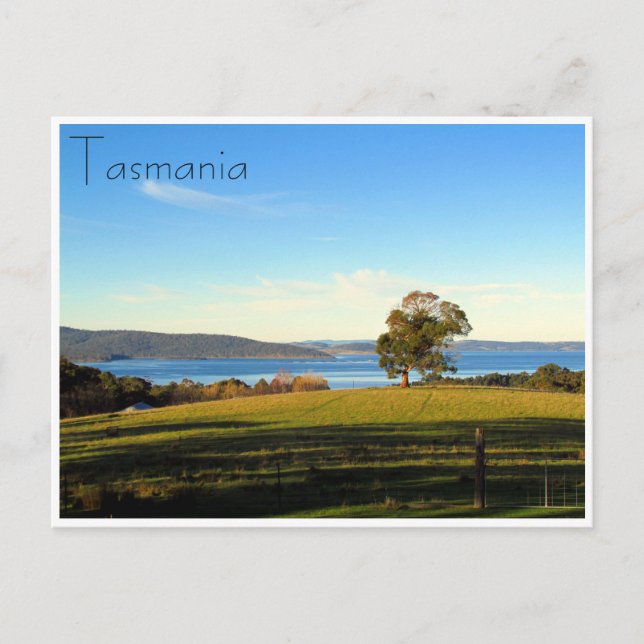 skogslandskap vykort (Framsida)