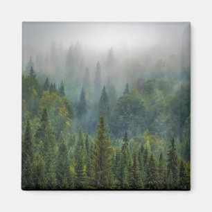 Skogslandskapet Misty gräs träd Magnet