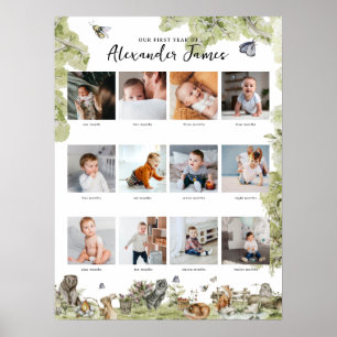 Skogslevande djur   1:a året 12 Foto Collage Månad Poster