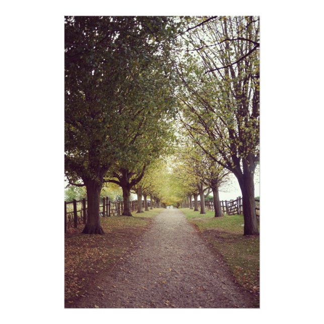 Skogslinje i träd fototryck (Framsidan)