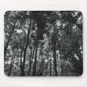 Skogsmark Canopy 02 BW Musmatta