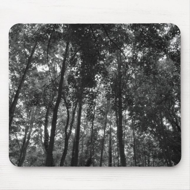 Skogsmark Canopy 02 BW Musmatta (Framsidan)
