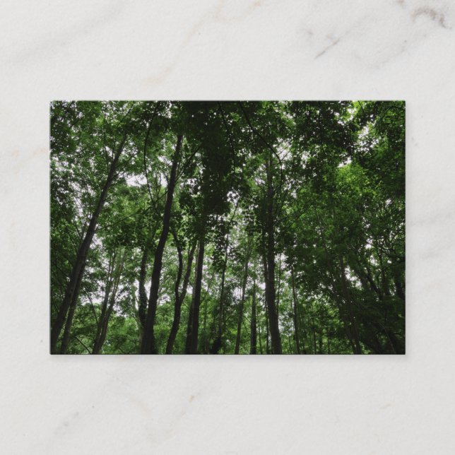 Skogsmark Canopy 02 Visitkort (Framsida)