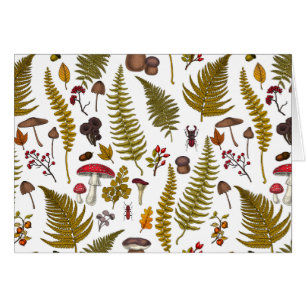 Skogsmark, flora och fauna 2 hälsningskort