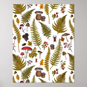 Skogsmark, flora och fauna 2 poster