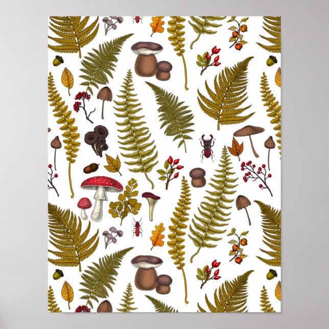 Skogsmark, flora och fauna 2 poster (Framsidan)