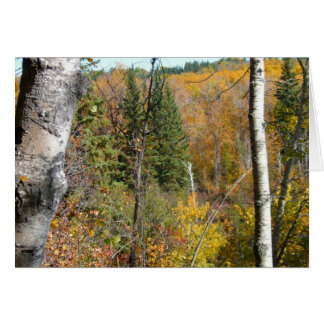 skogsmark hälsningskort