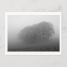 Skogsmark i Mist: Cheshire, England