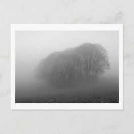 Skogsmark i Mist: Cheshire, England Vykort