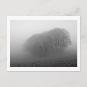 Skogsmark i Mist: Cheshire, England Vykort