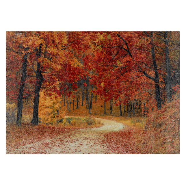 Skogsmark i nedgång (Framsidan)