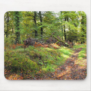 Skogsmark i oktober musmatta