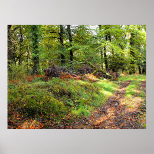 Skogsmark i oktober poster