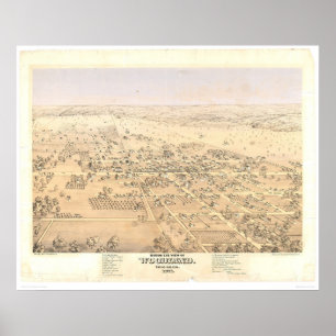 Skogsmark panorama- karta för CA. (1874A) Poster