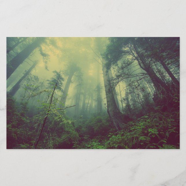 Skogsmark under brevpapper (Framsida)