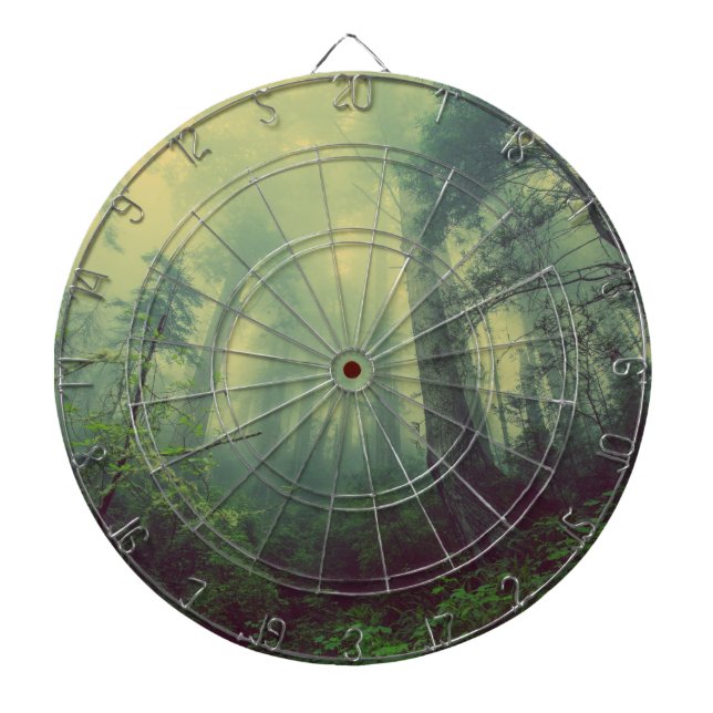 Skogsmark under darttavla (Framsidan)