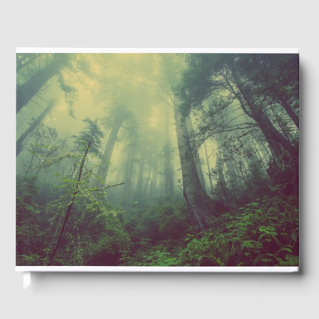 Skogsmark under gästböcker (Framsida)