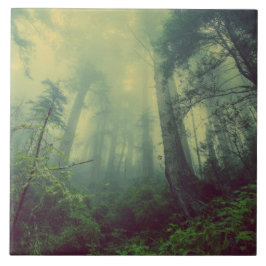 Skogsmark under kakelplatta