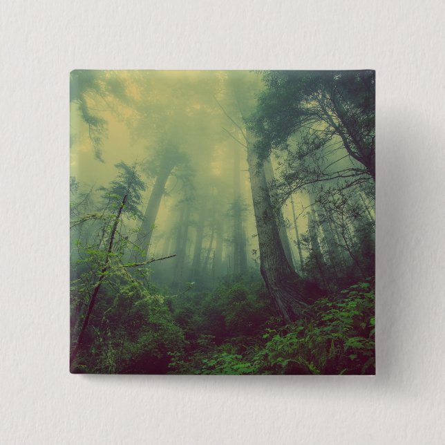 Skogsmark under knapp (Framsida)