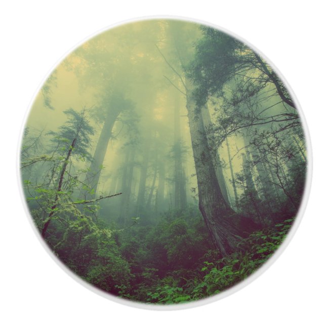 Skogsmark under knopp (Framsidan)