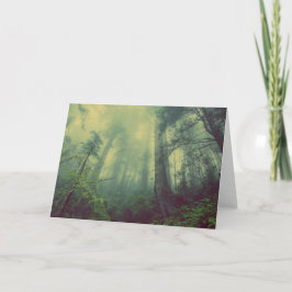 Skogsmark under kort