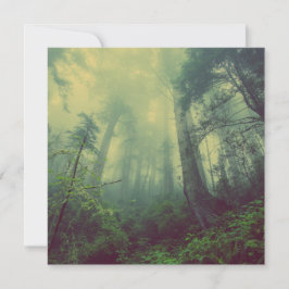 Skogsmark under kort