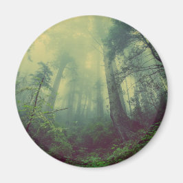 Skogsmark under magnet