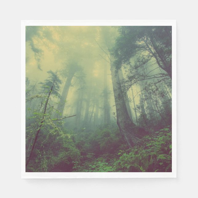 Skogsmark under pappersservett (Framsidan)