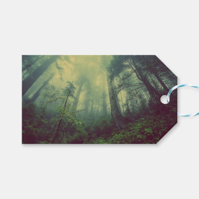 Skogsmark under presentetikett (Framsidan (Horisontell))