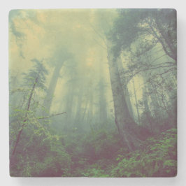 Skogsmark under stenunderlägg