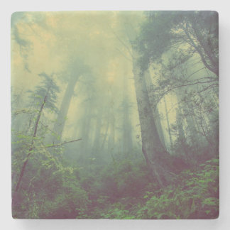 Skogsmark under stenunderlägg