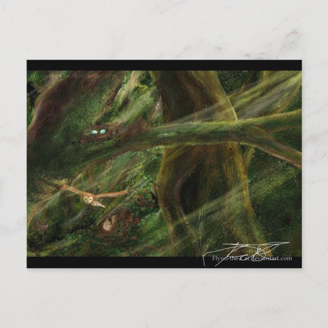 Skogsmark Vykort (Framsida)