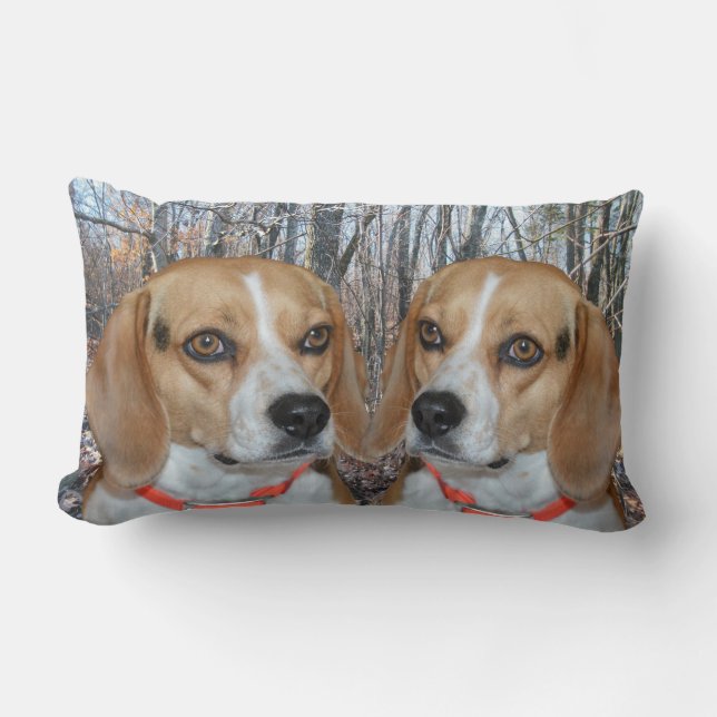 SkogsmarkBeagles Lumbarkudde (Framsida)