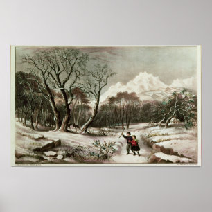 Skogsmarker i vinter poster