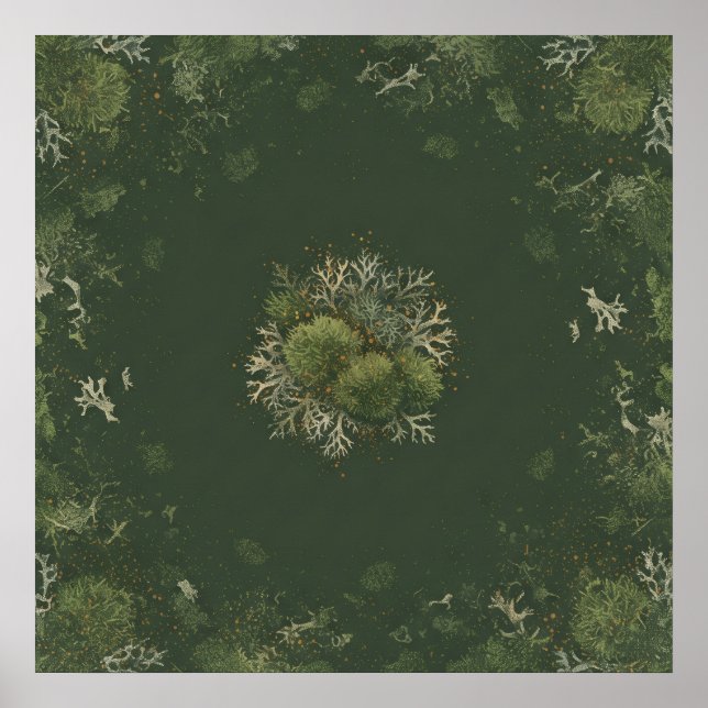 Skogsmossa och lav botanisk mandalaaffisch poster (Framsidan)