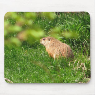 Skogsmurmeldjur~-mousepad Musmatta