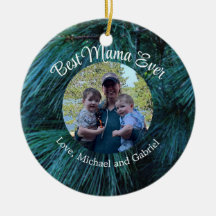 Skogsodlingen Rustic Gräs träd gräs grönt evergree