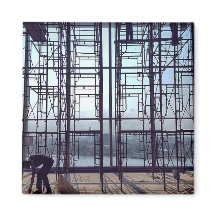 Skogsolering i Lobby